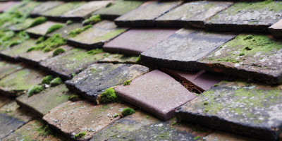 Elmstead roof repair costs